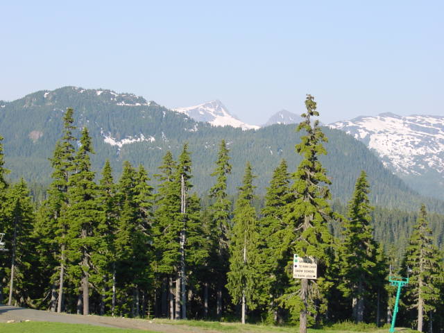 a0025847_2718.jpg