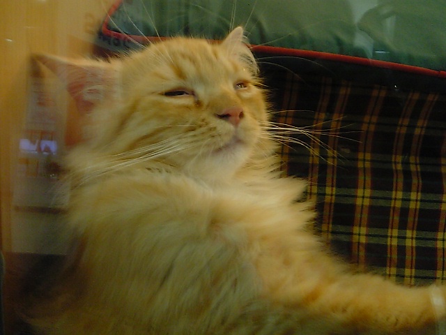 a0027720_23338.jpg