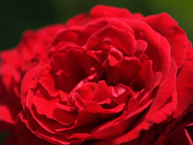 a0003746_171045.jpg