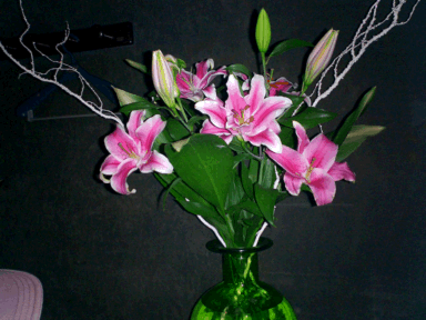 a0030248_152421.gif