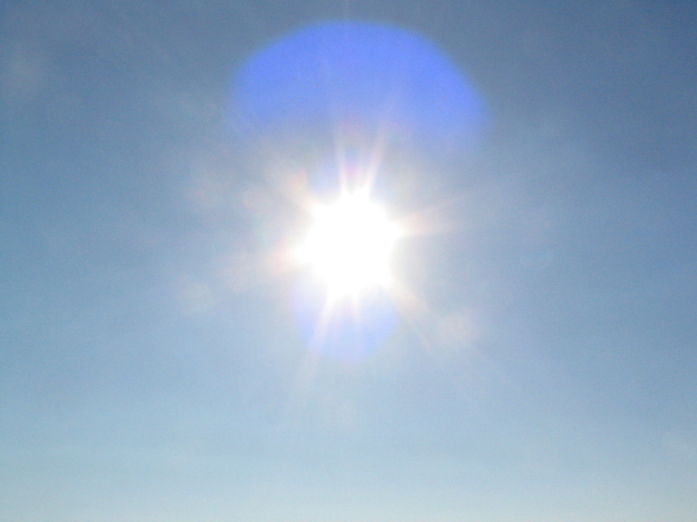 a0031454_224433.jpg