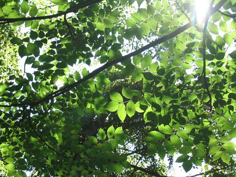 a0032317_02737.jpg