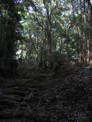 a0013134_0122.jpg