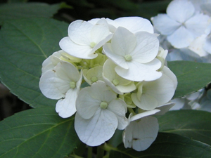 a0013134_02427.jpg