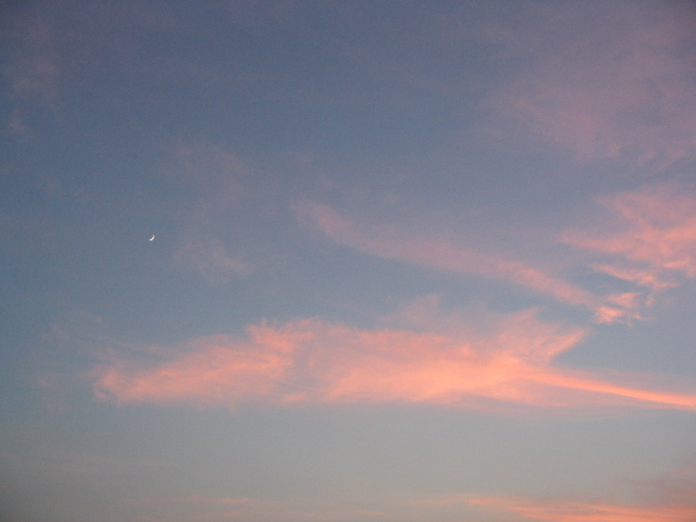 a0031454_14347.jpg