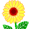 a0011358_204437.gif