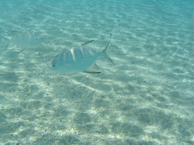 a0031454_20115.jpg