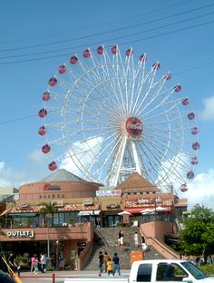 a0019603_23254.jpg