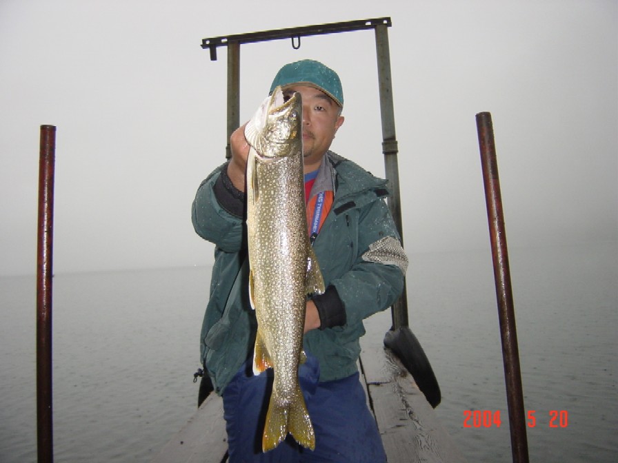 a0020109_20328.jpg