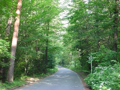 a0034487_23450.jpg