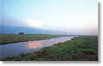 a0034513_15051.jpg