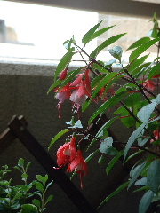 a0035678_13946.jpg