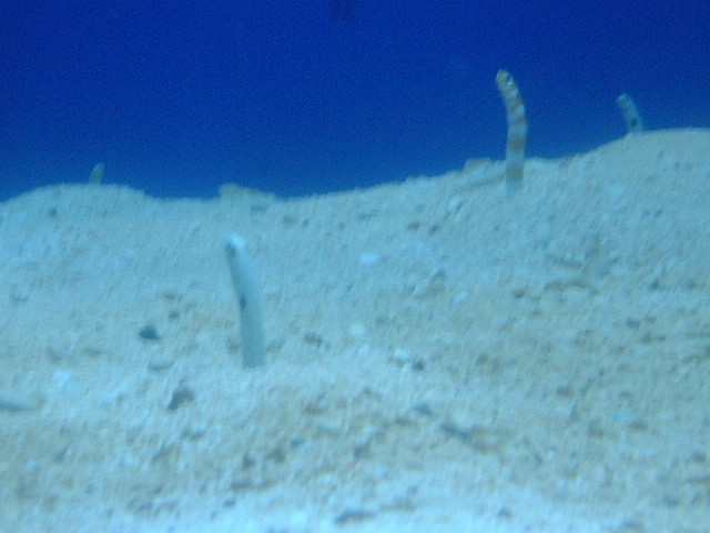 a0031454_232027.jpg