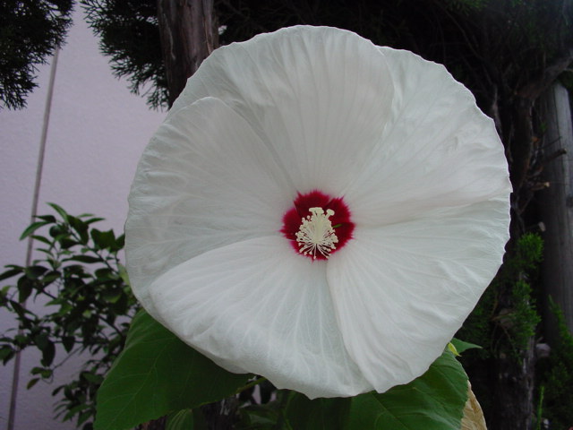 a0031000_235553.jpg
