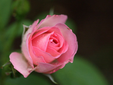 a0003746_15437.jpg