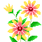 a0011358_151849.gif