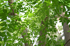 a0025948_13648.gif