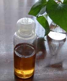 a0011999_183050.jpg