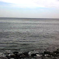 a0028424_16153387.jpg