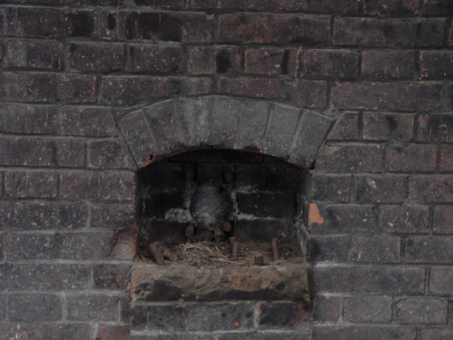 a0012542_17261654.jpg