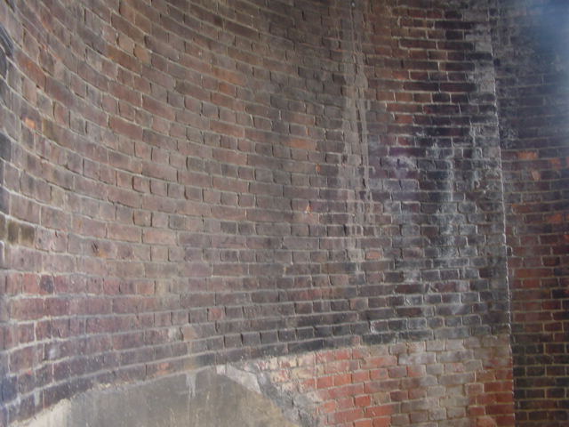 a0012542_17281461.jpg