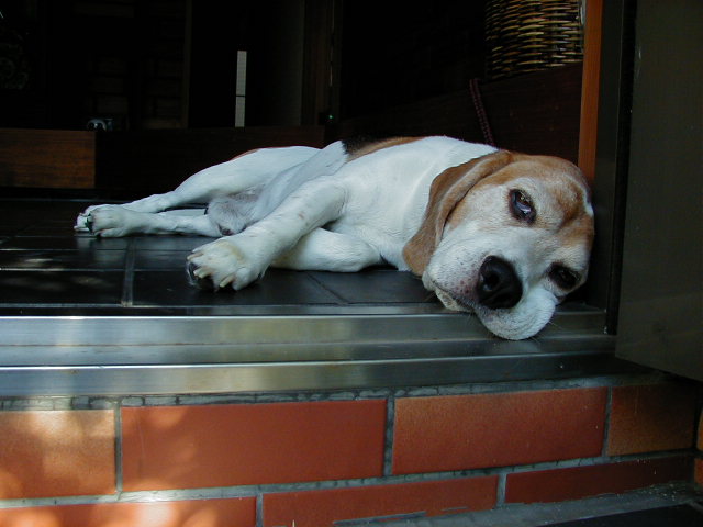 a0013905_10224165.jpg