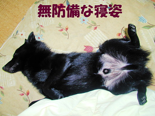 a0009750_1494994.jpg