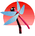 a0021421_174950100.gif