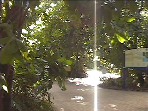 a0031514_16372842.jpg