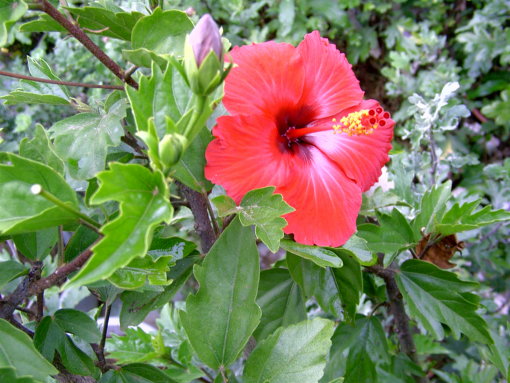 b0001950_11473875.jpg