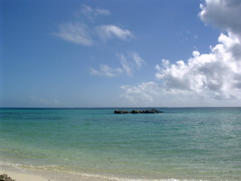 b0001950_13344837.jpg