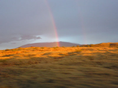 b0000801_2353299.jpg