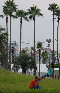 a0003150_7274586.jpg