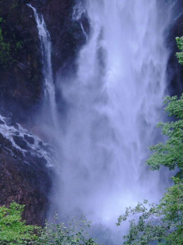 a0018608_3381056.jpg