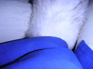 a0018200_1435194.jpg