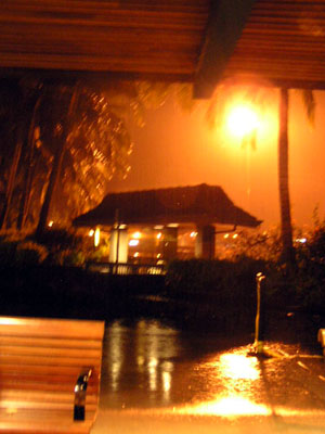 b0000801_8201256.jpg