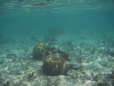 a0036334_1649942.jpg