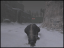 b0003371_16173013.gif