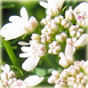 a0034198_196130.jpg
