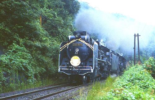 a0024312_236431.jpg