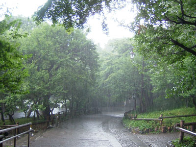 a0033493_2123321.jpg