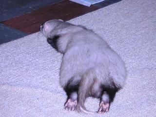 a0018200_11191823.jpg