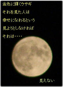 a0009747_23455370.jpg