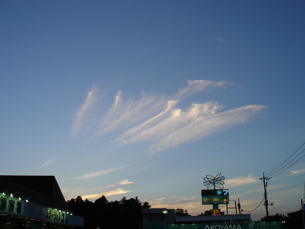 a0026254_23285354.jpg