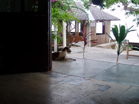 a0000014_14502715.jpg