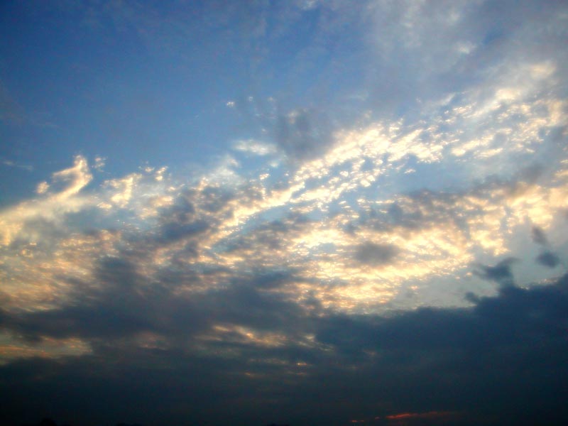 b0001124_2132437.jpg