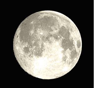 a0028424_14501861.gif