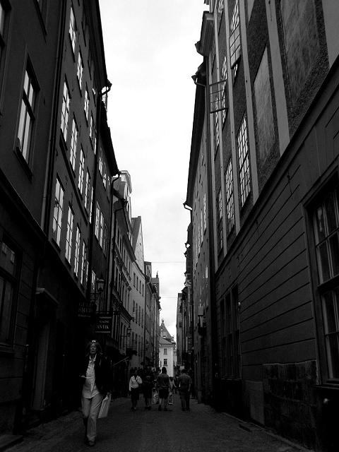 a0030714_7433843.jpg