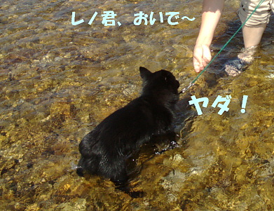 a0009750_1354440.jpg