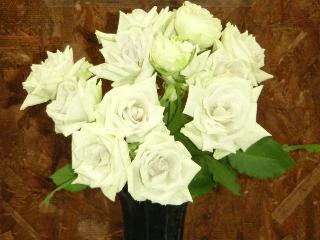 a0018200_11162051.jpg